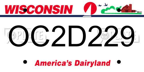 OC2D229 Wisconsin License Plate