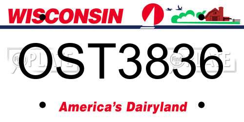 OST3836 Wisconsin License Plate