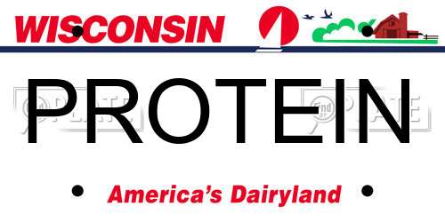 PROTEIN Wisconsin License Plate