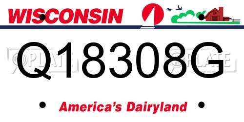 Q18308G Wisconsin License Plate