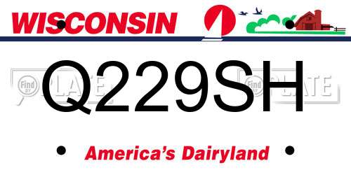 Q229SH Wisconsin License Plate