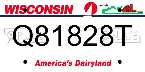 Q81828T Wisconsin License Plate