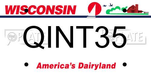 QINT35 Wisconsin License Plate