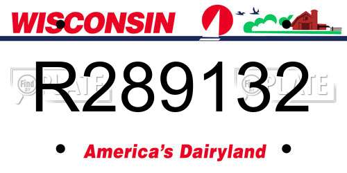 R289132 Wisconsin License Plate