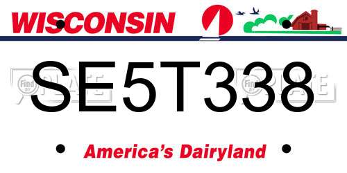 SE5T338 Wisconsin License Plate