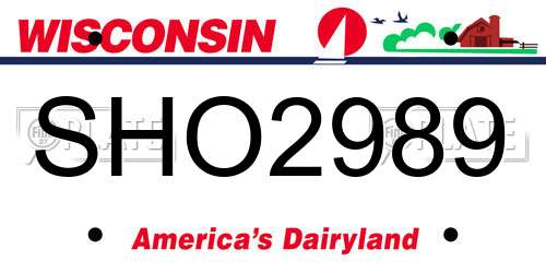 SHO2989 Wisconsin License Plate