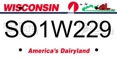 SO1W229 Wisconsin License Plate