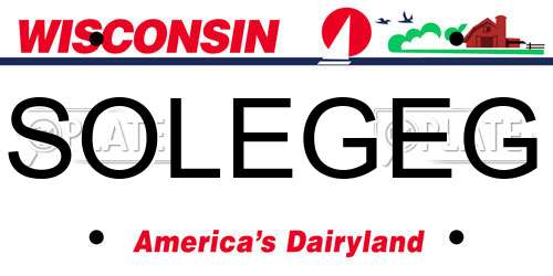 SOLEGEG Wisconsin License Plate