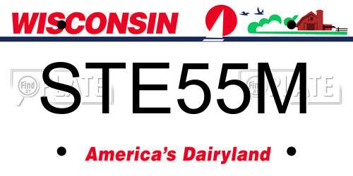 STE55M Wisconsin License Plate