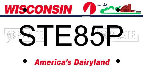 STE85P Wisconsin License Plate