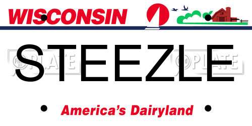 STEEZLE Wisconsin License Plate