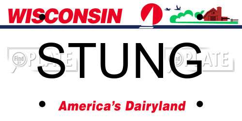 STUNG Wisconsin License Plate
