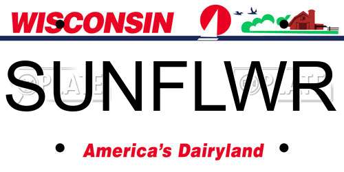 SUNFLWR Wisconsin License Plate