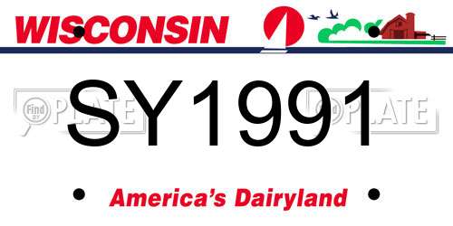 SY1991 Wisconsin License Plate
