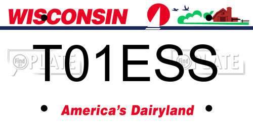 T01ESS Wisconsin License Plate