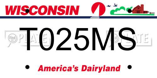 T025MS Wisconsin License Plate