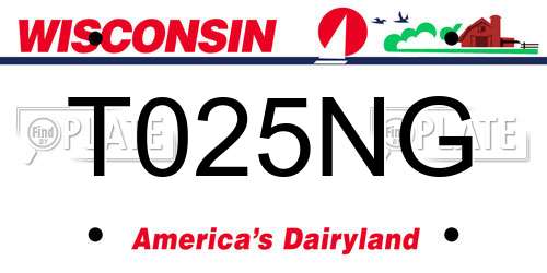 T025NG Wisconsin License Plate