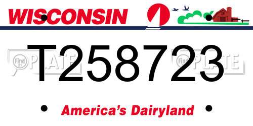 T258723 Wisconsin License Plate