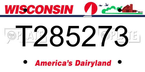 T285273 Wisconsin License Plate