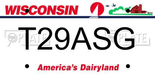 T29ASG Wisconsin License Plate