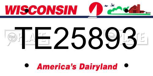 TE25893 Wisconsin License Plate