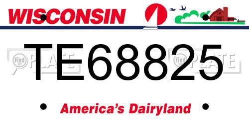 TE68825 Wisconsin License Plate