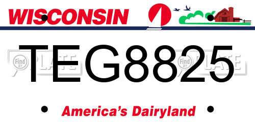 TEG8825 Wisconsin License Plate