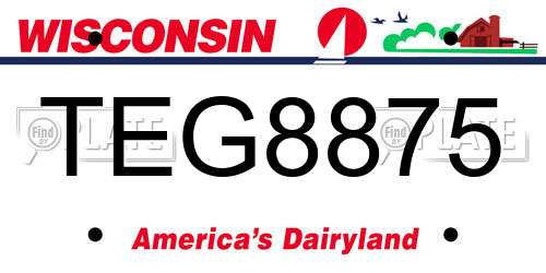 TEG8875 Wisconsin License Plate