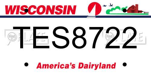 TES8722 Wisconsin License Plate