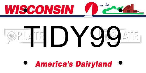 TIDY99 Wisconsin License Plate