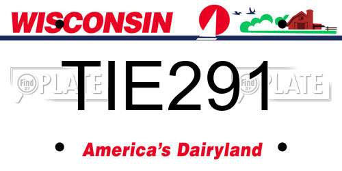TIE291 Wisconsin License Plate