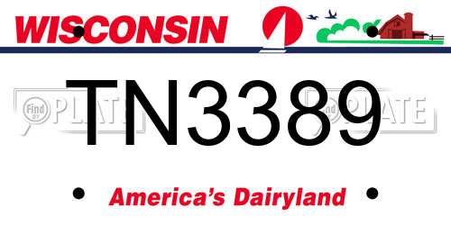TN3389 Wisconsin License Plate