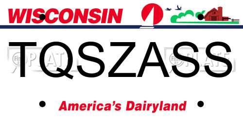 TQSZASS Wisconsin License Plate