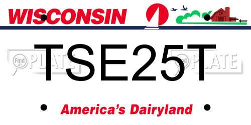 TSE25T Wisconsin License Plate