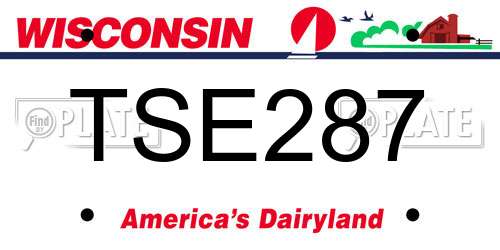 TSE287 Wisconsin License Plate