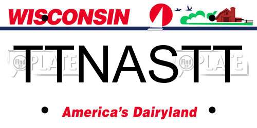 TTNASTT Wisconsin License Plate
