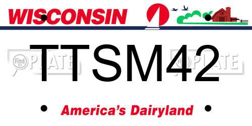TTSM42 Wisconsin License Plate