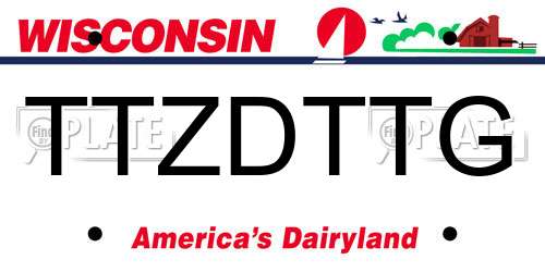 TTZDTTG Wisconsin License Plate