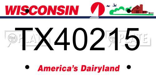 TX40215 Wisconsin License Plate