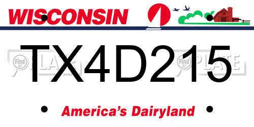 TX4D215 Wisconsin License Plate