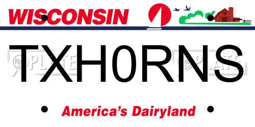TXH0RNS Wisconsin License Plate