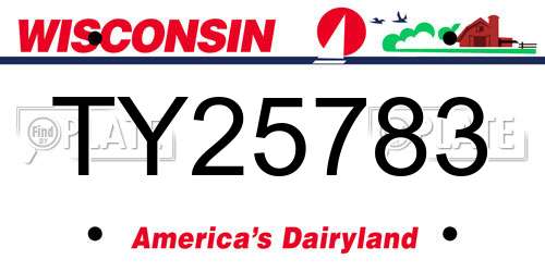 TY25783 Wisconsin License Plate