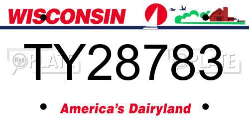 TY28783 Wisconsin License Plate