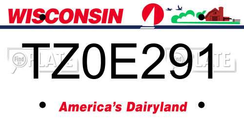 TZ0E291 Wisconsin License Plate