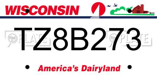 TZ8B273 Wisconsin License Plate