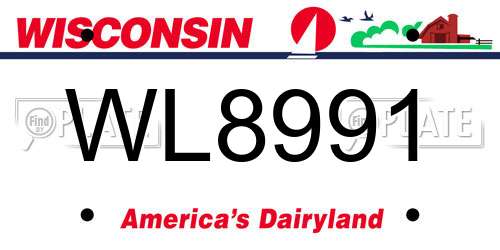 WL8991 Wisconsin License Plate