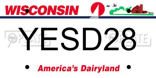 YESD28 Wisconsin License Plate