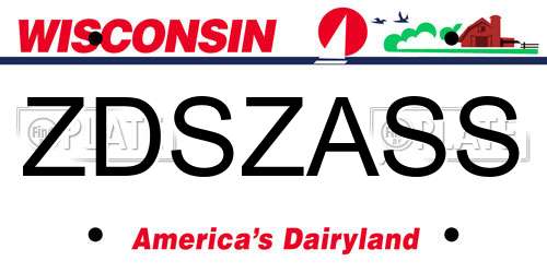 ZDSZASS Wisconsin License Plate