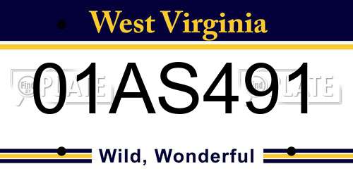 01AS491 West Virginia License Plate