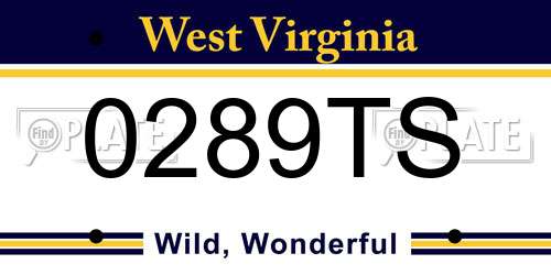 0289TS West Virginia License Plate